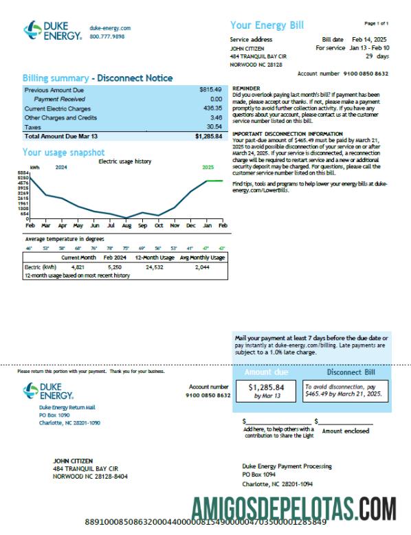 imprimível Modelo de conta de serviços públicos Duke Energy dos EUA em formatos Word e PDF, versão 2
